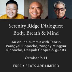 Online – USA: ONLINE SUMMIT with Tenzin Wangyal Rinpoche, Deepak Chopra, Mingyur Rinpoche and Other Guests