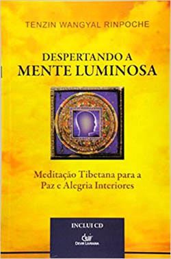 Compre aqui: Livro Despertar a Mente Luminosa de Tenzin Wangyal Rinpoche