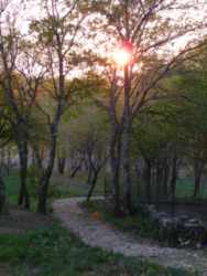 Portugal: Meditação Zen - Retiro Com Amy Hollowell Sensei