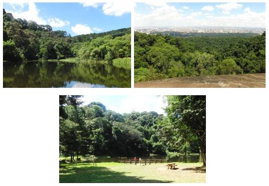 Brasil: Caminhada, Prática de Yoga e Piquenique no Parque da Cantareira, São Paulo