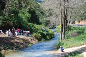 Portugal: Caminhada e Yôga Para Todos no Domingo de Bom Verão em Rio Maior