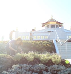 Templo Budista Kadampa pela Paz