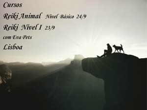 Portugal: Curso de Reiki Animal e Reiki Nível I – com Eva Pets