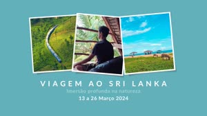 Sri Lanka: Viagem ao Sri Lanka – Março 2024 – Macro Viagens